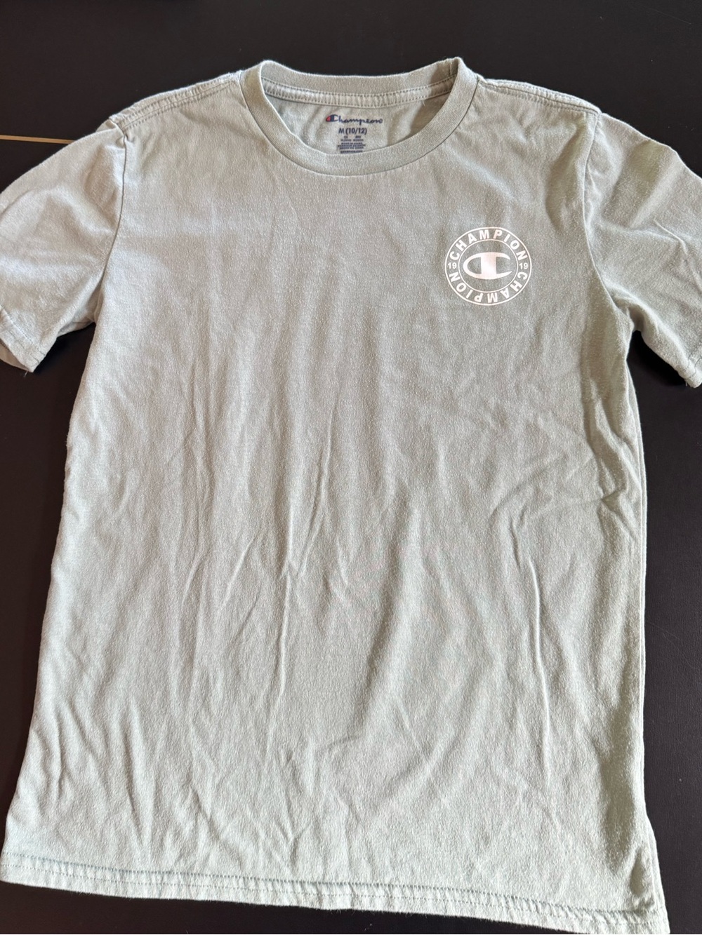 Champion Men's Sage Green Short Sleeve Tee with White Logo